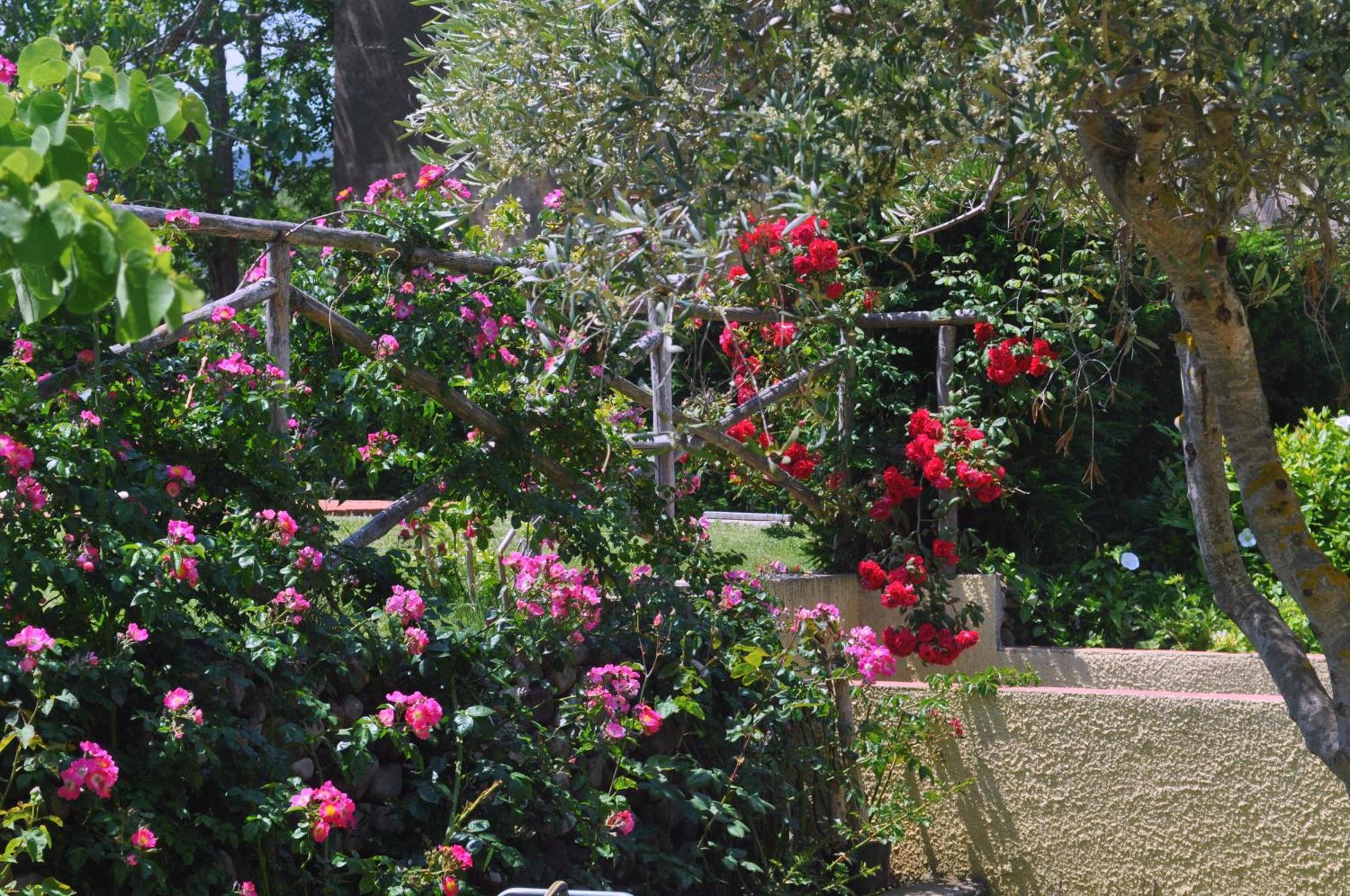 Hotel Tirrena Bike & Country 3*